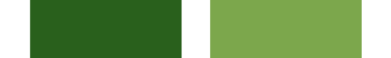 イエベ秋・オータムタイプの緑